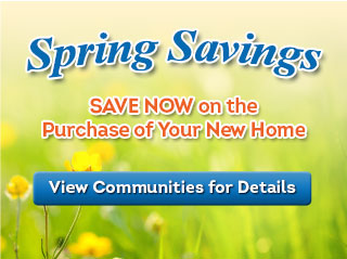 Winter Savings - Save Now on the Purchase of Your New Home