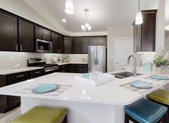 The Cambridge Virtual Tour